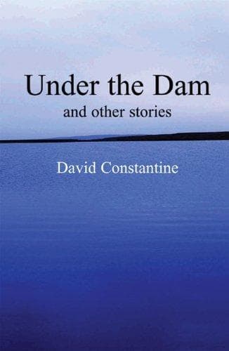 Tapa de Under the Dam