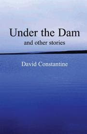 Tapa de Under the Dam