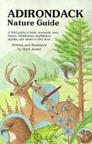 Tapa de The Adirondack nature guide