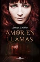 Tapa de Amor en llamas
