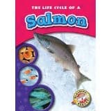 Tapa de The life cycle of a salmon