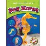 Tapa de The life cycle of a sea horse