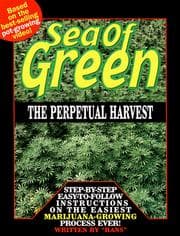 Tapa de Sea of Green