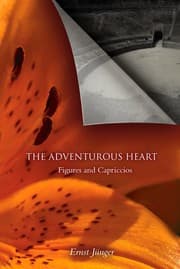 Tapa de The Adventurous Heart