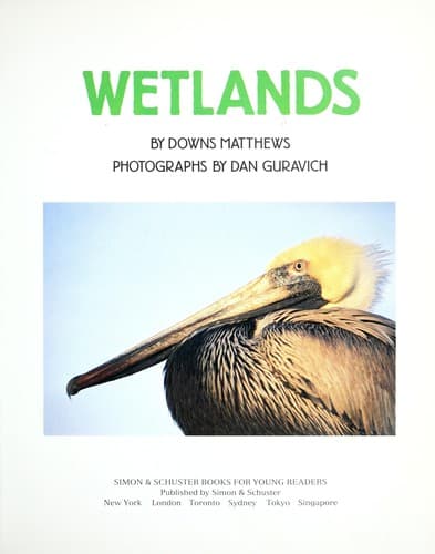 Tapa de Wetlands