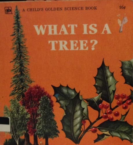 Tapa de What is a tree?