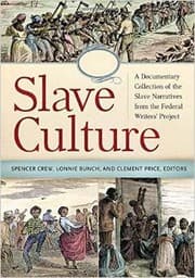 Tapa de Slave Culture
