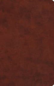 Tapa de Gift Bible ESV Trutone, Chestnut