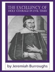 Tapa de The excellency of holy courage in evil times