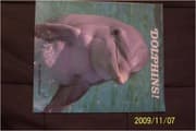 Tapa de Dolphins!