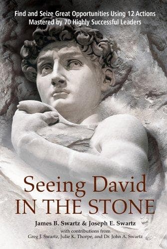 Tapa de Seeing David in the stone