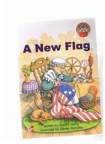 Tapa de A New Flag