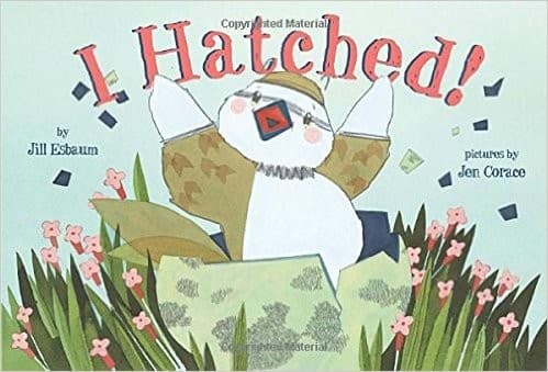 Tapa de I hatched!