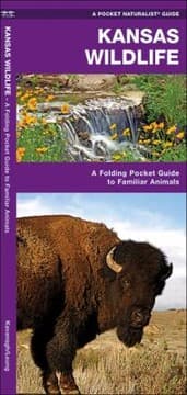 Tapa de Kansas Wildlife An Introduction To Familiar Species