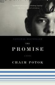 Tapa de The Promise