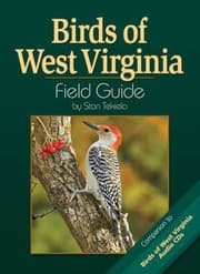 Tapa de Birds Of West Virginia Field Guide