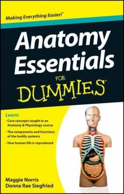 Tapa de Anatomy Essentials For Dummies