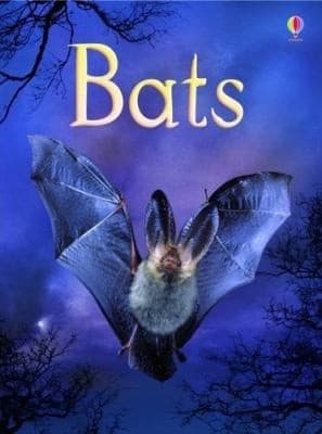 Tapa de Bats
