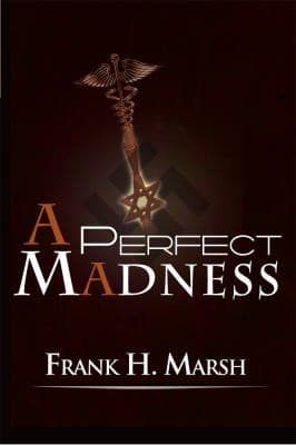 Tapa de A Perfect Madness