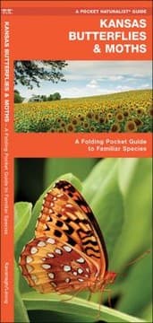 Tapa de Kansas Butterflies Moths An Introduction To Familiar Species