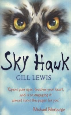 Tapa de Sky Hawk