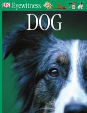 Tapa de Dog