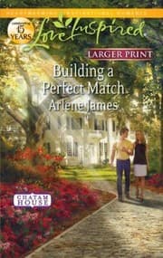 Tapa de Building A Perfect Match