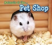 Tapa de Animals At The Pet Shop