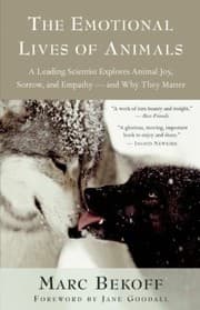 Tapa de The Emotional Lives Of Animals A Leading Scientist Explores Animal Joy Sorrow And Empathy And Why They Matter