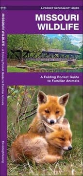 Tapa de Missouri Wildlife An Introduction To Familiar Species