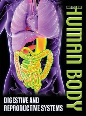 Tapa de Digestive And Reproductive Systems
