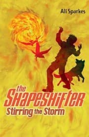 Tapa de Stirring The Storm