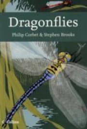 Tapa de Dragonflies