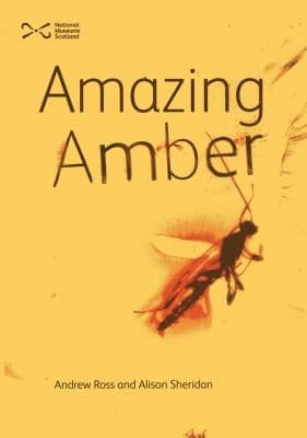 Tapa de Amazing Amber
