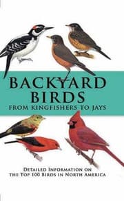 Tapa de Backyard Birds From Kingfishers To Jays Detailed Information On The Top 100 Birds In North America