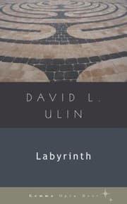 Tapa de Labyrinth