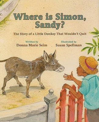 Tapa de Where Is Simon Sandy