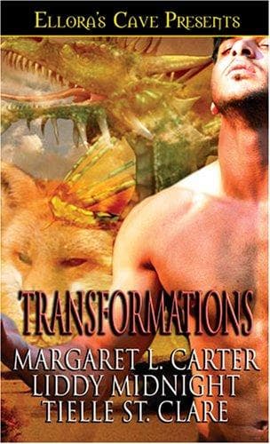Tapa de Transformations