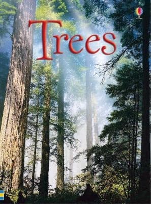 Tapa de Trees
