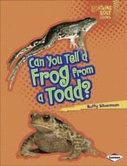 Tapa de Can You Tell A Frog From A Toad