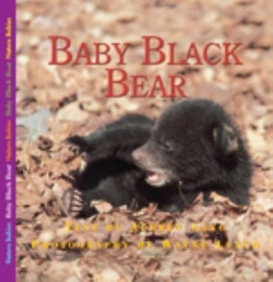 Tapa de Baby Black Bear