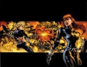 Tapa de Black Widow The Itsybitsy Spider