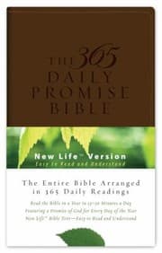 Tapa de 365 Daily Promise BibleNM