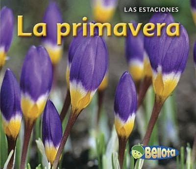 Tapa de La Primavera