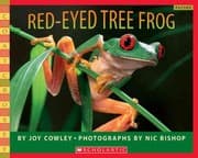 Tapa de Redeyed Tree Frog