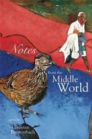 Tapa de Notes From The Middle World