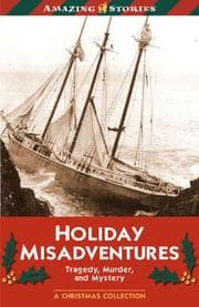 Tapa de Holiday Misadventures