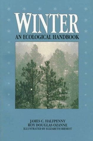 Tapa de Winter