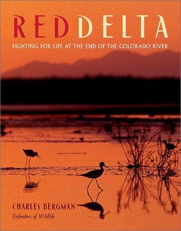Tapa de Red Delta