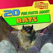 Tapa de 20 Fun Facts About Bats